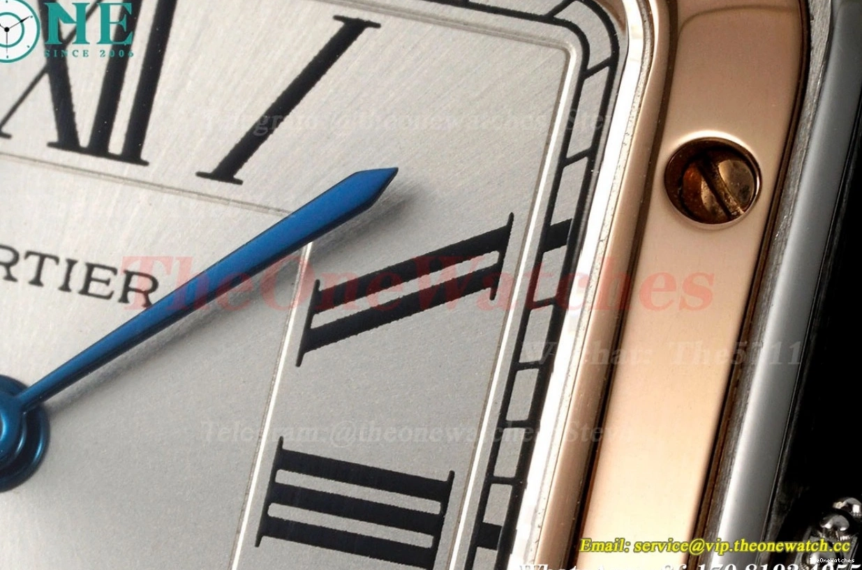 Quartz LE Dumont Silver Dial Wine Santos Red AF RG 0420